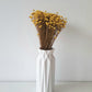 Glixia - yellow-1