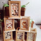 Lion and Friends Lanterns Gifts Favors